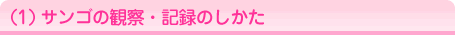 �T���S�̊ώ@�E�L�^�̂�����